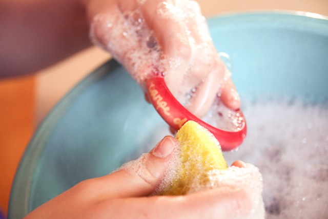 Wash Wash